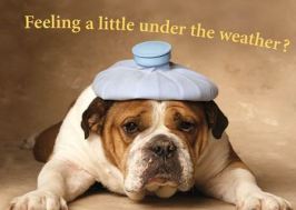 feeling under the weather