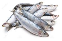 Plan Boquerones Ingles Malaga